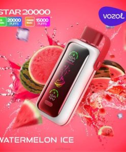 Puff VOZOL France - VOZOL STAR 20000 glace à la pastèque 8042398