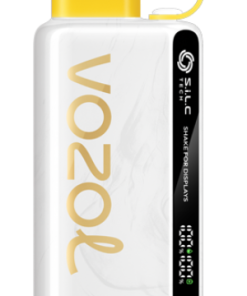 Puff VOZOL France - VOZOL STAR 9000/12000 glace à l'ananas et à la noix de coco 804246