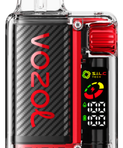 Puff VOZOL France - VOZOL VISTA 16000/20000 pastèque framboise 804213