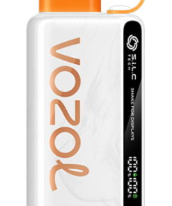 VOZOL Cigarette Électronique - VOZOL STAR 9000/12000 glace à la mangue mexicaine 804244