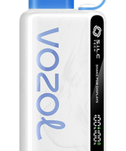VOZOL Cigarette Électronique - VOZOL STAR 9000/12000 tempête de bleuets 804222