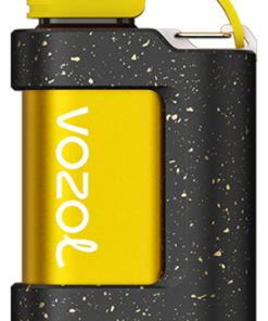 VOZOL Paris - VOZOL GEAR 7000 tabac de grand maître 8042334
