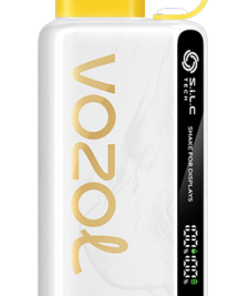 VOZOL Prix - VOZOL STAR 9000/12000 kiwi fruit de la passion goyave 804225