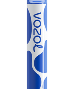 VOZOL Puff Paris - VOZOL JOYGO 600 tempête de bleuets 8042390
