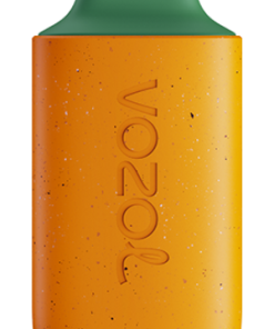 VOZOL Puff Paris - VOZOL STAR 6000 kiwi goyave fruit de la passion 8042115