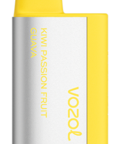 VOZOL Puff Paris - VOZOL TIGO 600 kiwi fruit de la passion goyave 8042368
