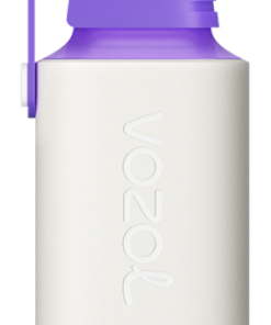 VOZOL Vape Jetable - VOZOL GEAR 600 énergie des baies forestières 8042350