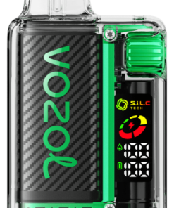 VOZOL Vape Jetable - VOZOL VISTA 16000/20000 glace à la pastèque 804220